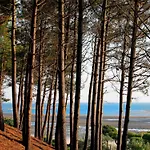 Appartement Proche Pour 2 Pers Avec Parking - Fr-1-420-159 Arcachon