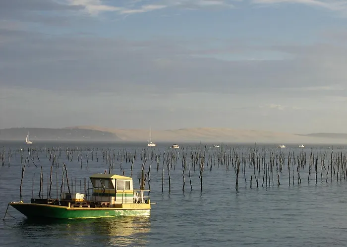 Proche Pour 2 Pers Avec Parking - Fr-1-420-159 * アルカション